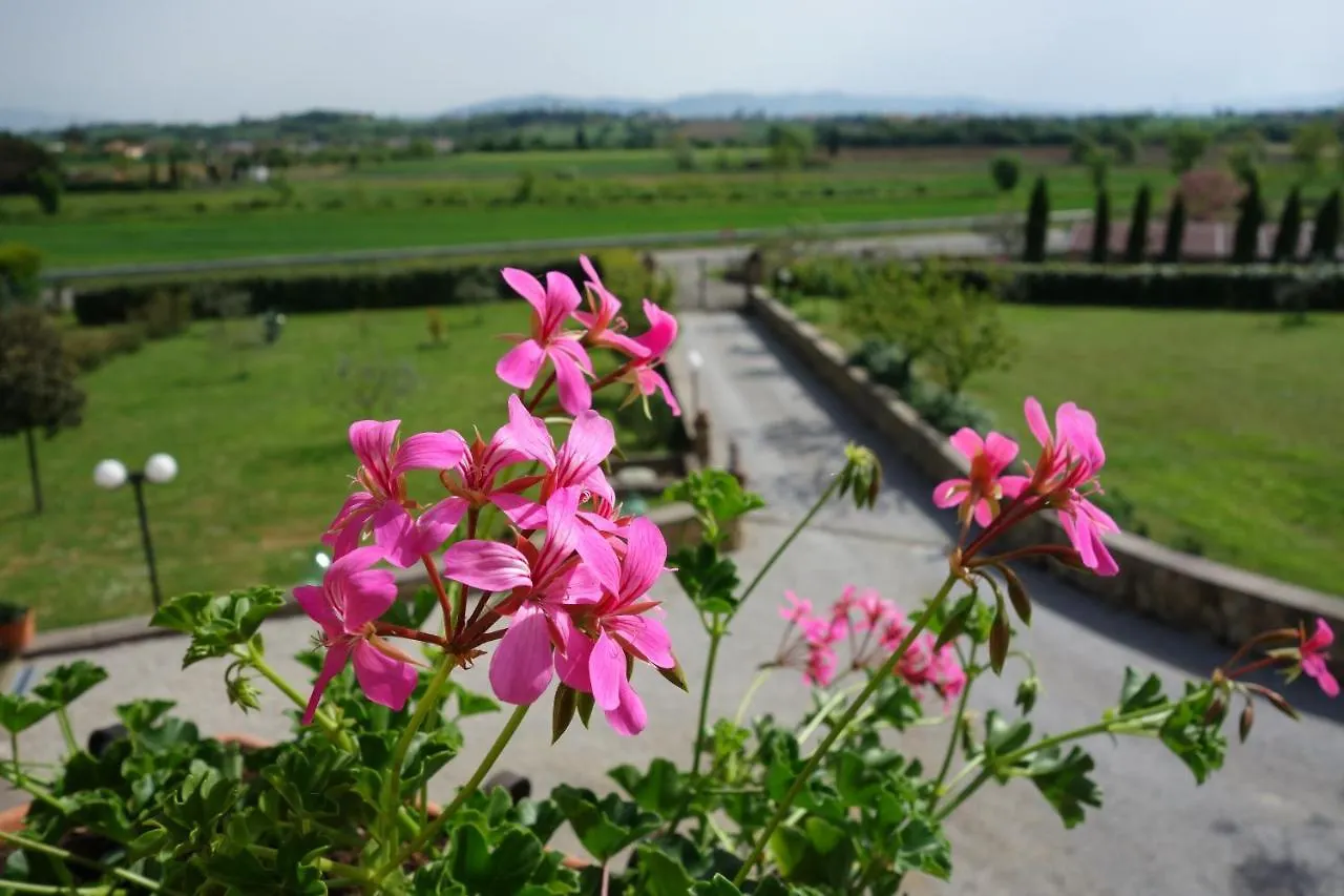 Casa Aloe B&B Monte San Savino Italy